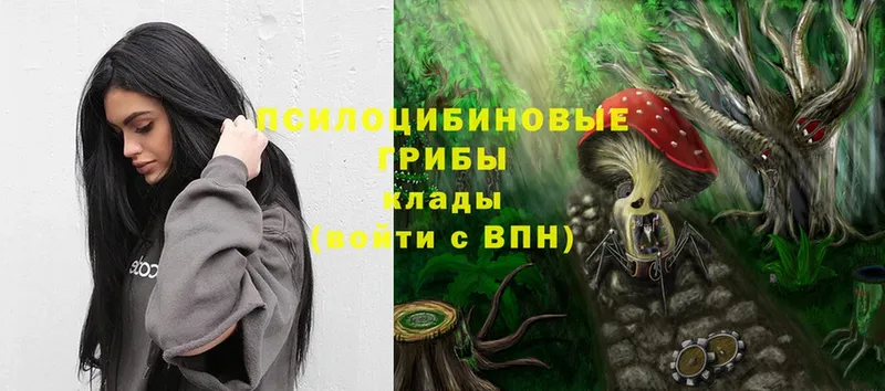 Галлюциногенные грибы MAGIC MUSHROOMS Кунгур